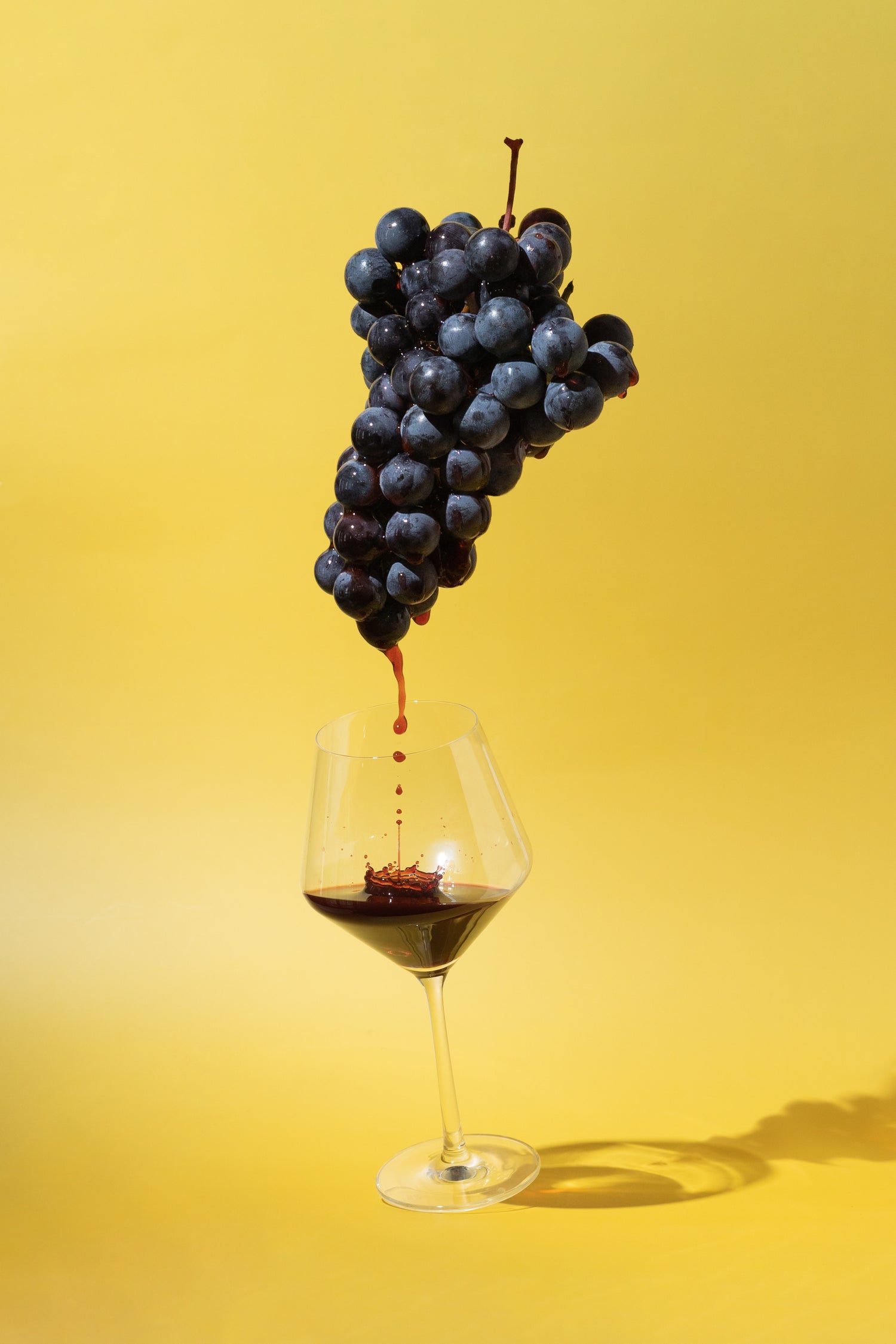 A Wine Lover's Guide: Deciphering Unique Flavors and Aromas